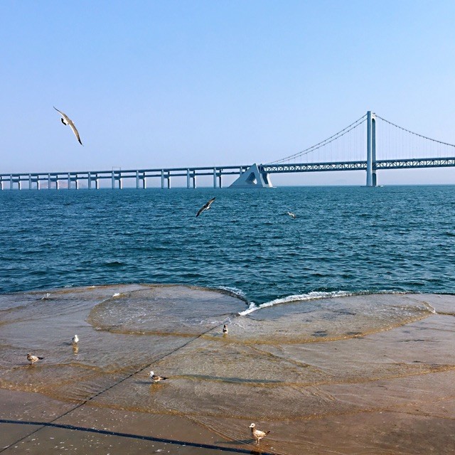 代写水保报告